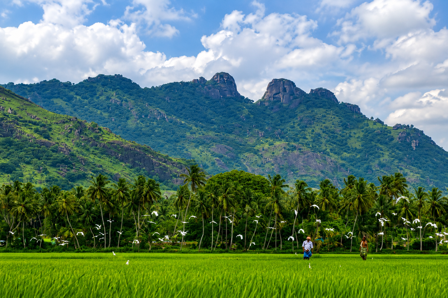 Village & Cultural Experience Tours